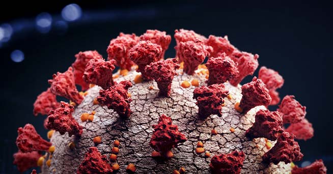 mRNA Vaccines are NOT Traditional Vaccines